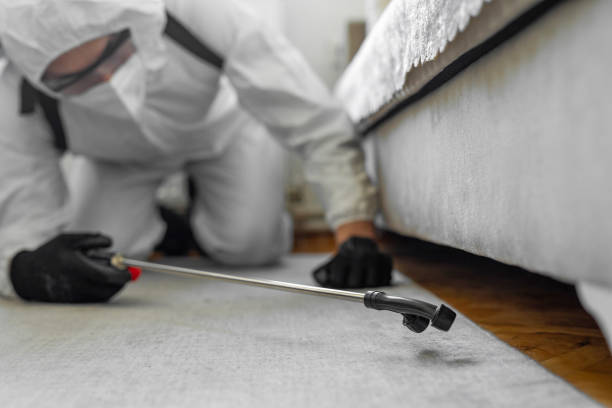 Professional Pest Control technician working in Mount Hope, WV