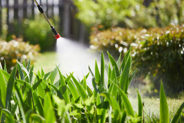 24/7 Emergency Pest Control experts in Mount Hope, WV