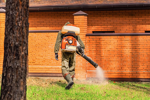 Top rated local Pest Control specialists in Mount Hope, WV
